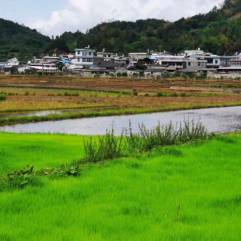 驻村小记——第十四天