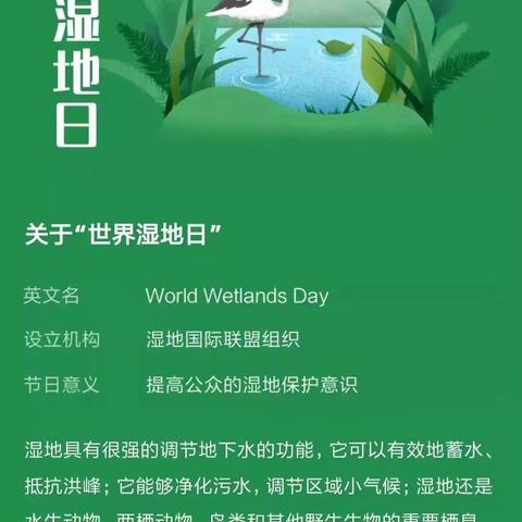 百灵园开展“世界湿地日”主题活动