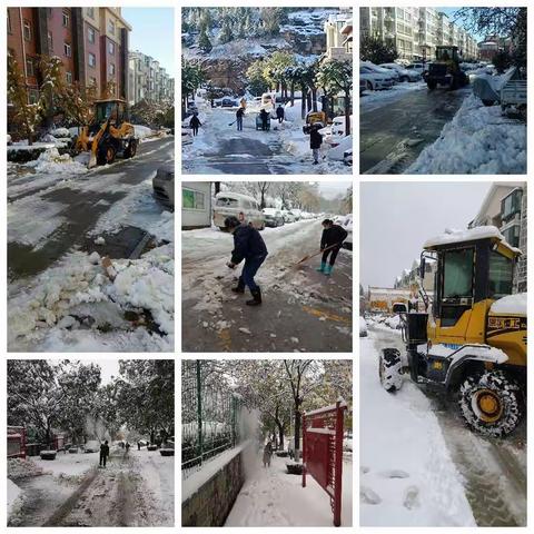 林家庄股份经济合作社【清理积雪    保障安全】