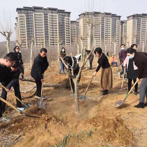 党建红、园林绿    党员义务植树主题党日活动
