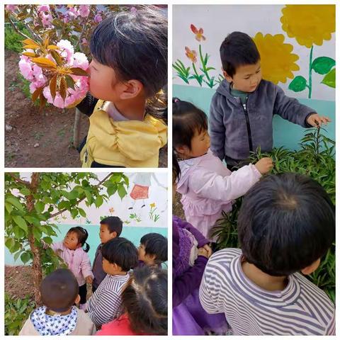 南鲁山镇芝芳幼儿园                        就地取材     构建特色区角
