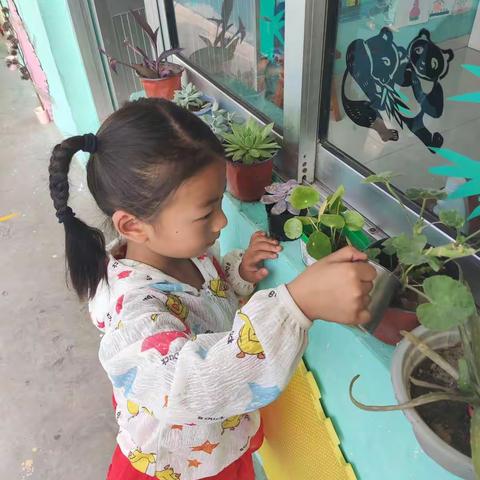 南鲁山镇芝芳幼儿园开展幼儿劳动实践教育