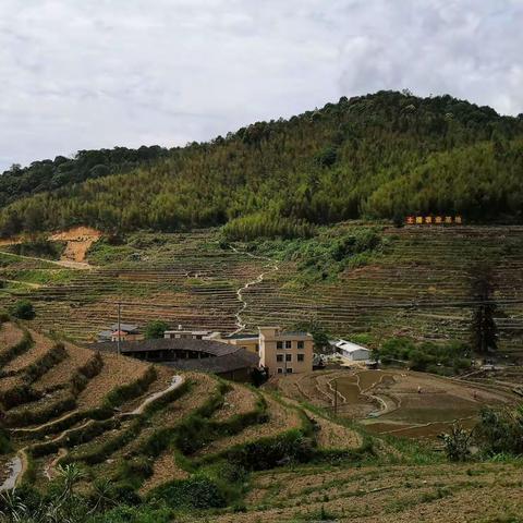 探访岩太古村