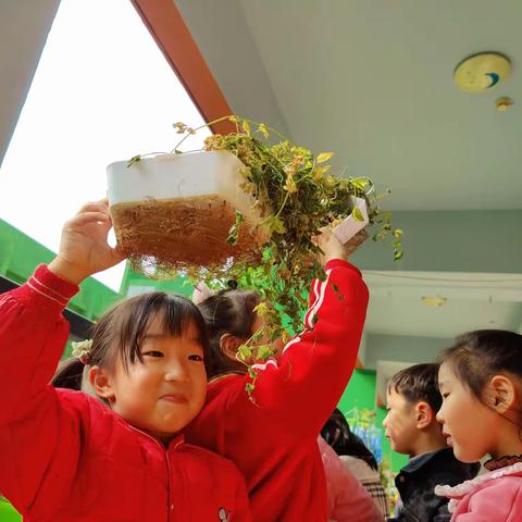 自然角里的春秋