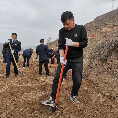 不负春光添新绿 美化环境护生态