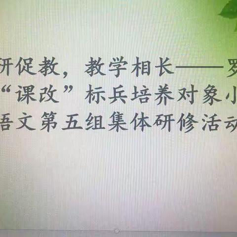 以研促教，教学相长——罗定市“课改”标兵培养对象小学语文第五组集体研修活动