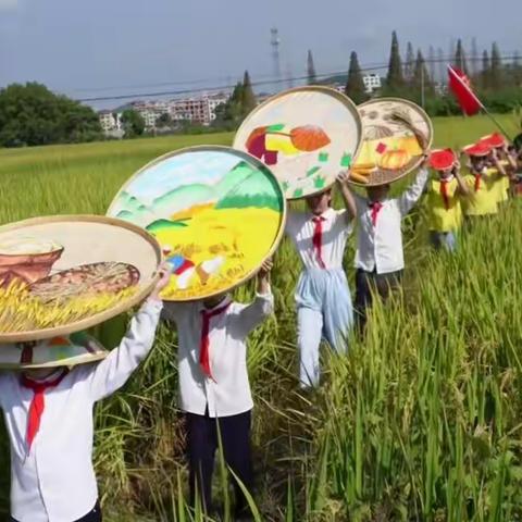 稻花香里说丰年，金秋十月迎国庆--记桐小蓝之悦中队劳动体验课