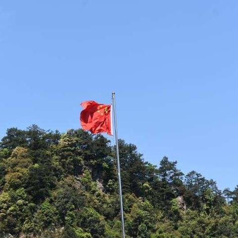 情系良陇    助力脱贫