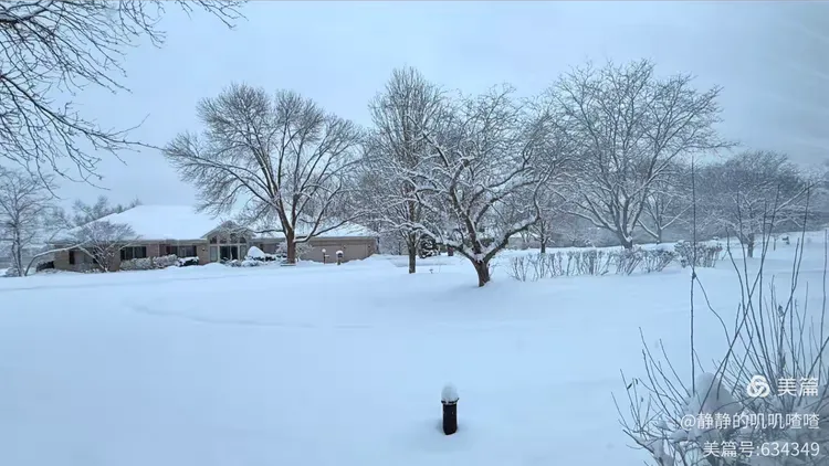 图片[5]-夏婳出版新书啦-华闻时空