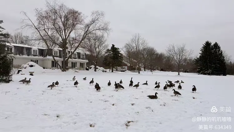 图片[8]-夏婳出版新书啦-华闻时空