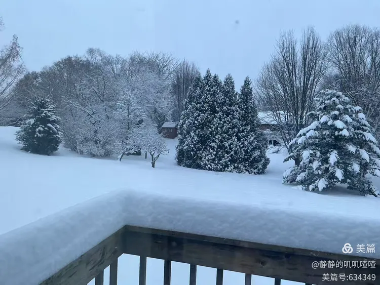 图片[7]-夏婳出版新书啦-华闻时空