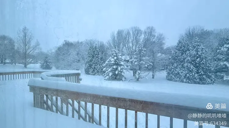 图片[6]-夏婳出版新书啦-华闻时空