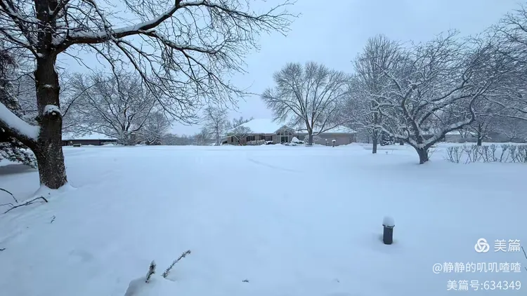 图片[4]-夏婳出版新书啦-华闻时空