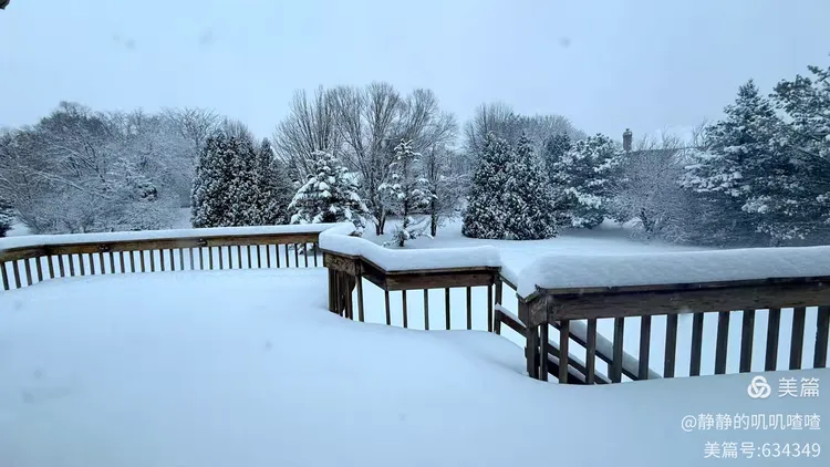 图片[2]-夏婳出版新书啦-华闻时空