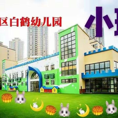 白鹤幼儿园小二班 悦智慧悦成长