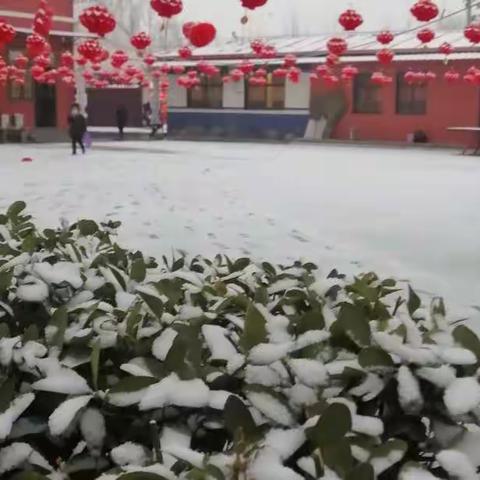 雪中的小太阳翰林小学