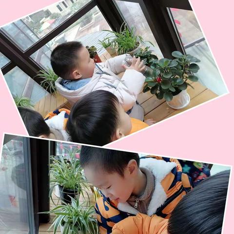 苗二班开学第一周精彩回顾