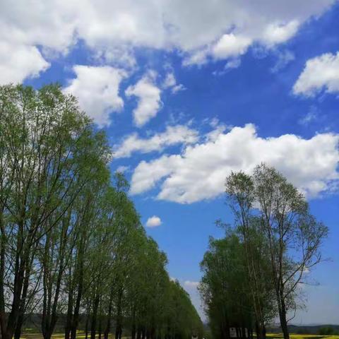 春暖花开正当前，坚持宅家得胜利，停课不停学（大班第十二篇）