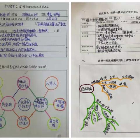 可爱的豆豆老师的美篇