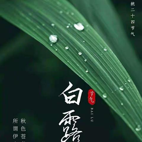 《白露至，秋实美》——蓝天幼儿园中班年级组线上活动