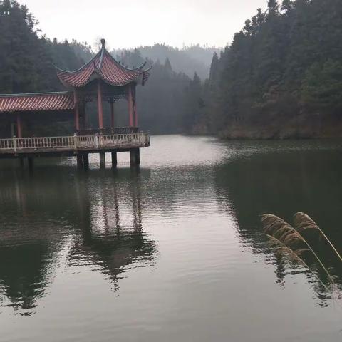 游凉风垭森林公园