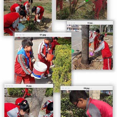 安阳市殷都洹滨小学|我给小树浇浇水