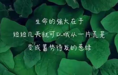 趣味评价  乐在其中——殷都洹滨小学二年级音乐测评