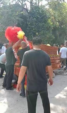 许家营夏黑红提克伦生的美篇