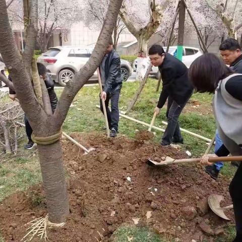 仲春时节万物苏  植树添绿正当时