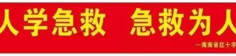 2022年度海南省红十字救援大队海口分队第十九期：“爱心相伴，救在身边”进单位活动