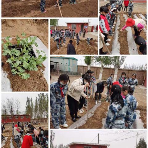 劳动中学习，学习中劳动——彭建完小六年级播种记实