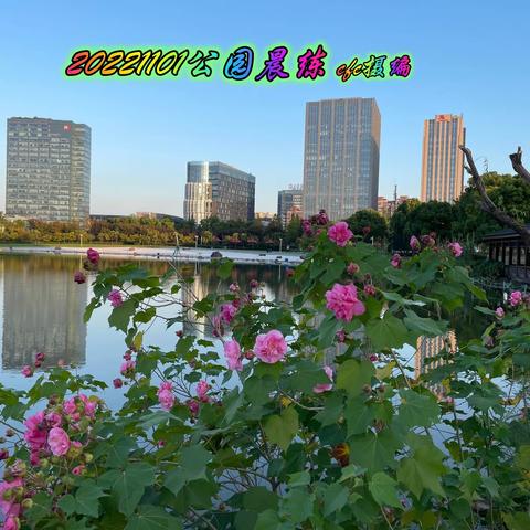 2022年10月大宁公园晨练随拍部分外景