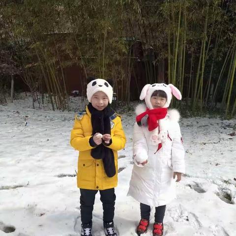 雪中趣