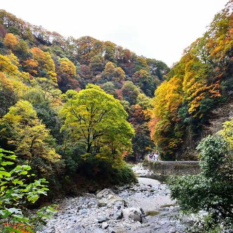 光雾山漫游