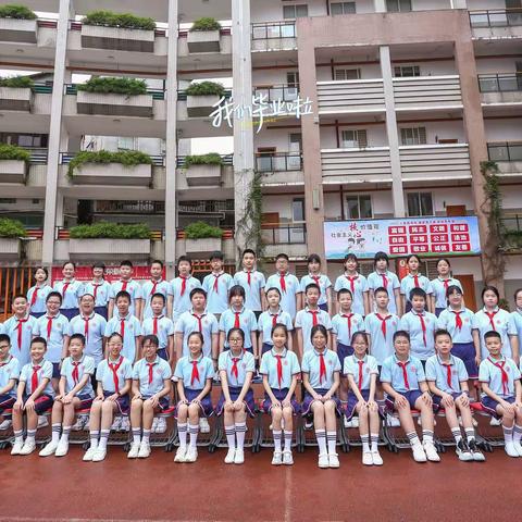 【青春有你】宁师附小六3班·2022毕业季