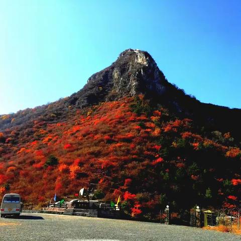 游黎城四方山看红叶