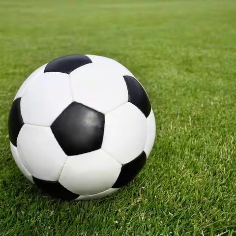 胡川镇中学男子足球队奔赴“县长杯”中小学生足球赛赛场