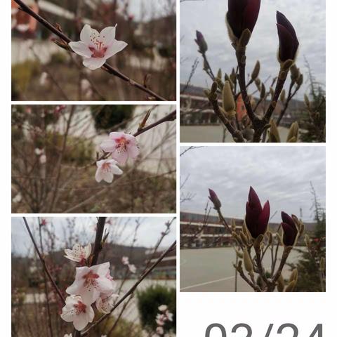 胡川镇中学师生篮球赛——学生组（第三场）