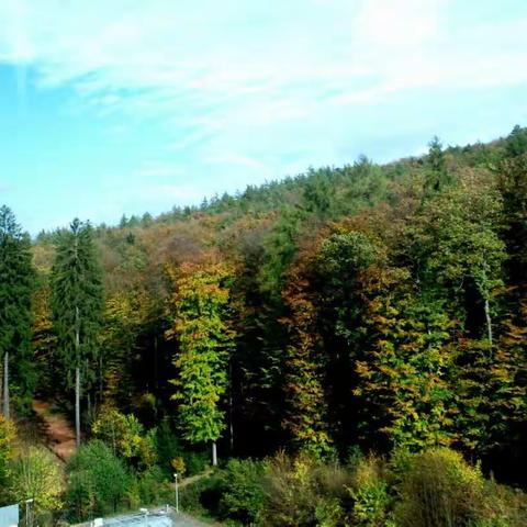 2017金秋十月东欧之旅 12 德国 . 法兰克福