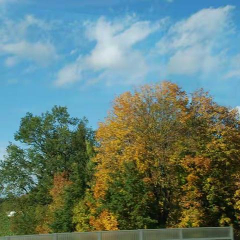 2017金秋十月东欧之旅 03奥地利.维也纳