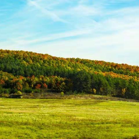 2017金秋十月东欧之旅 06 波兰 . 克拉科夫