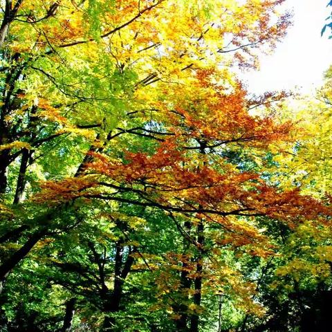 2017金秋十月东欧之旅 07 波兰 . 华沙