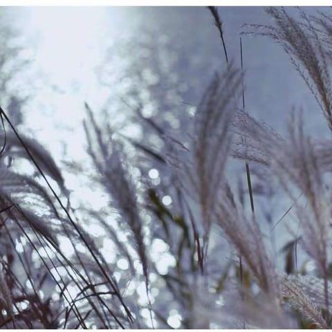 文华幼儿园中一班家长开放半日活动