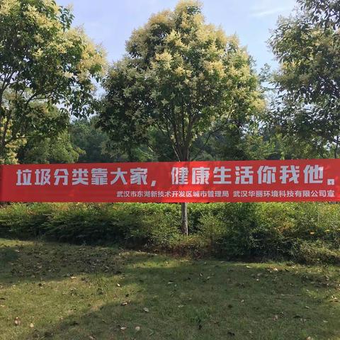 生物城垃圾分类工作专班——第24周工作汇总