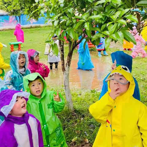 “春雨淅沥沥”——踩雨