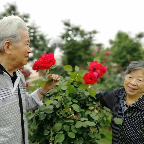 初夏，花漫漫花庄园