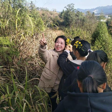 花垣镇道二九年一贯制学校九年级爬山活动