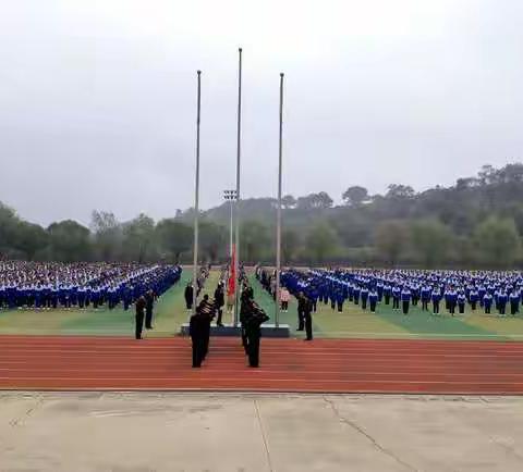 绮窗寒梅的美篇