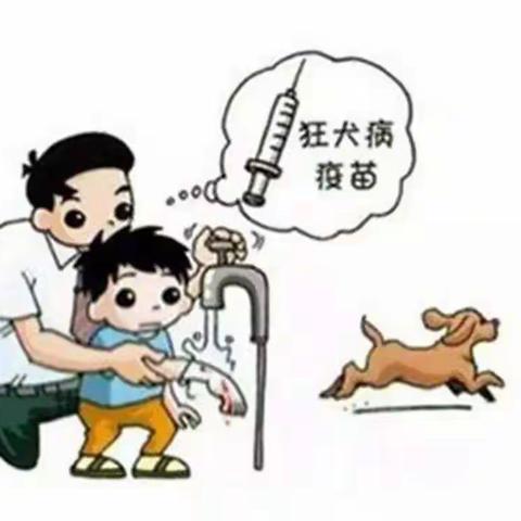 国家公共卫生项目之全面了解狂犬疫苗