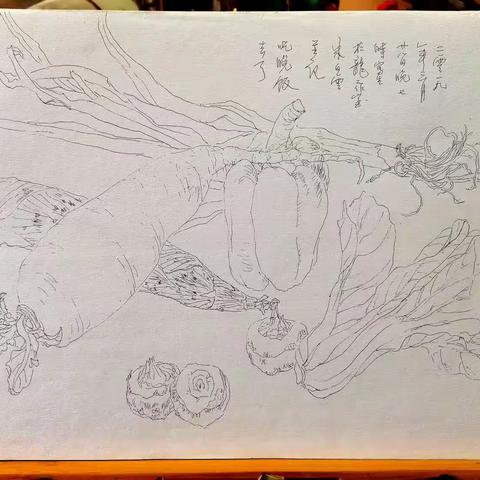 朱白云老师的写生稿